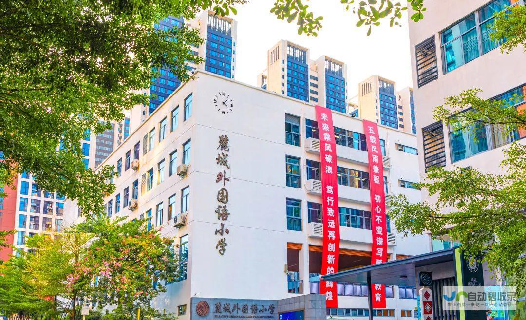 打造卓越学校形象：构建功能强大、内容丰富的学校网站